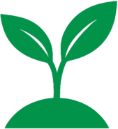 Logo WeRuleLife – minimalistická rastlinka symbolizujúca rast a život